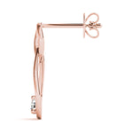 Load image into Gallery viewer, Earrings
