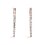 Load image into Gallery viewer, Earrings