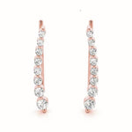 Load image into Gallery viewer, Earrings
