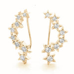 Load image into Gallery viewer, Earrings