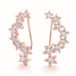 Load image into Gallery viewer, Earrings