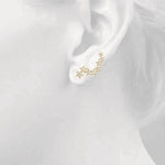 Load image into Gallery viewer, Earrings