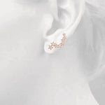 Load image into Gallery viewer, Earrings