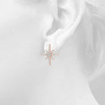 Load image into Gallery viewer, Earrings