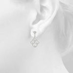 Load image into Gallery viewer, Earrings