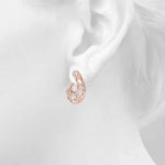 Load image into Gallery viewer, Earrings