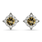 Load image into Gallery viewer, Earrings