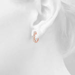 Load image into Gallery viewer, Earrings