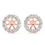 Load image into Gallery viewer, Earrings