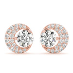 Load image into Gallery viewer, Earrings