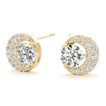 Load image into Gallery viewer, Earrings