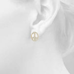 Load image into Gallery viewer, Earrings