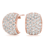 Load image into Gallery viewer, Earrings