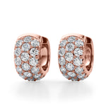 Load image into Gallery viewer, Earrings