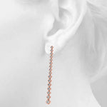 Load image into Gallery viewer, Earrings