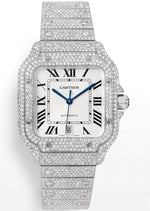 Load image into Gallery viewer, CARTIER SANTOS WSSA0030