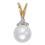 Load image into Gallery viewer, Pendants
