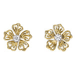 Load image into Gallery viewer, Earrings
