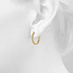 Load image into Gallery viewer, Earrings
