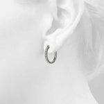 Load image into Gallery viewer, Earrings
