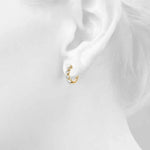 Load image into Gallery viewer, Earrings
